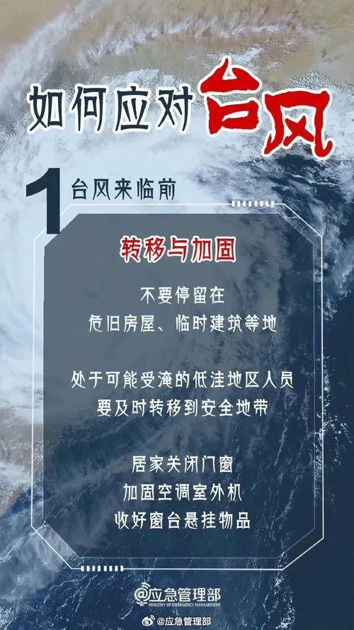 最新台风爆料消息今天新闻,揭秘今日新闻焦点！”