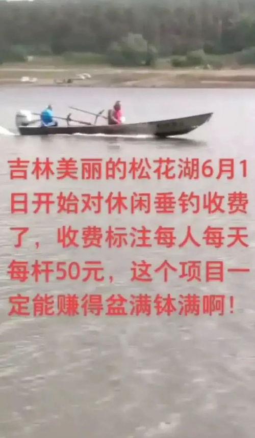 吉林市网友最新爆料,惊现神秘事件，真相令人震惊！